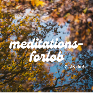 Meditationsforløb