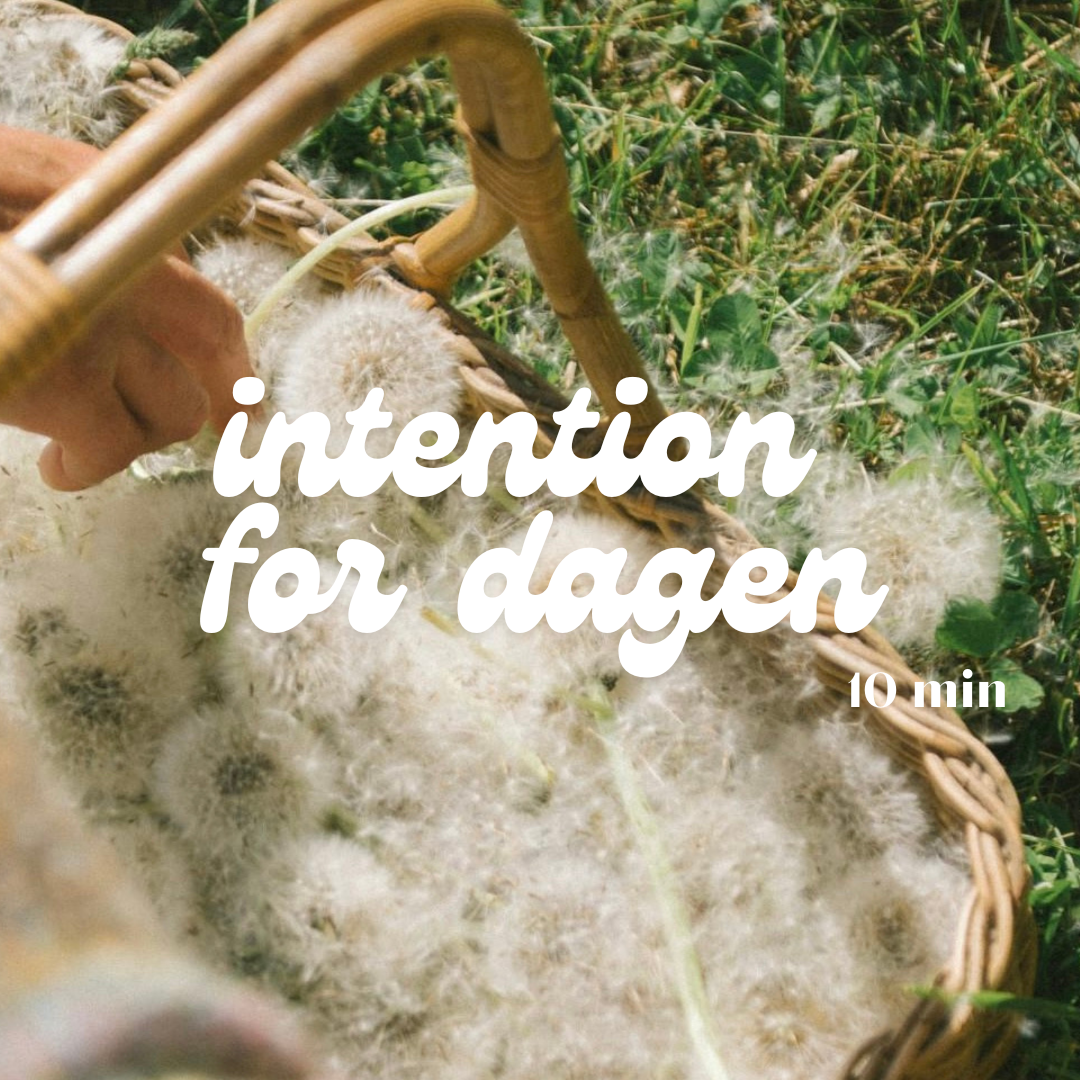 Meditation – Intention for dagen