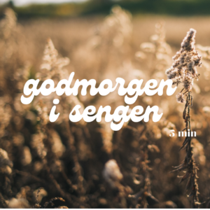 Meditation - Godmorgen i sengen