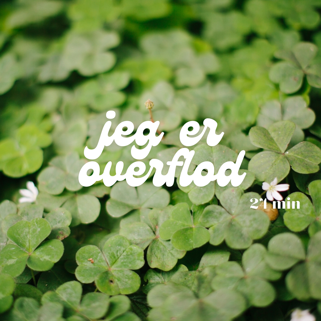 Meditation – I am Abundant / Jeg er overflod