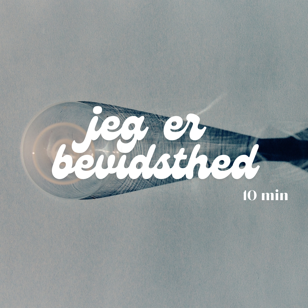 Meditation – I am Consciousness / Jeg er bevidsthed