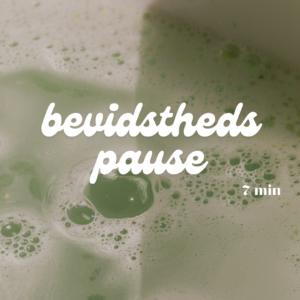 Meditation - Bevidsthedspause