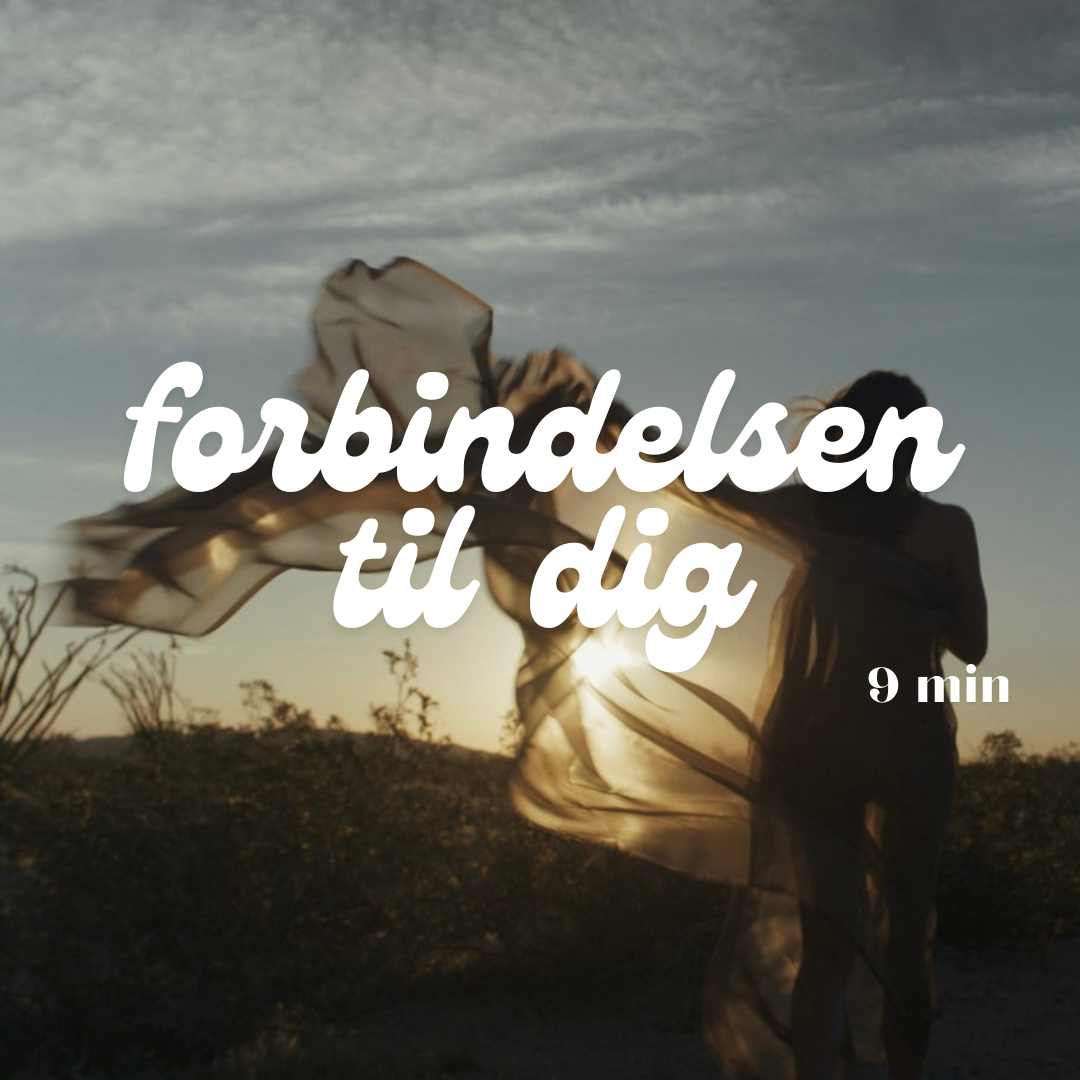 Meditation – Forbindelsen til dig