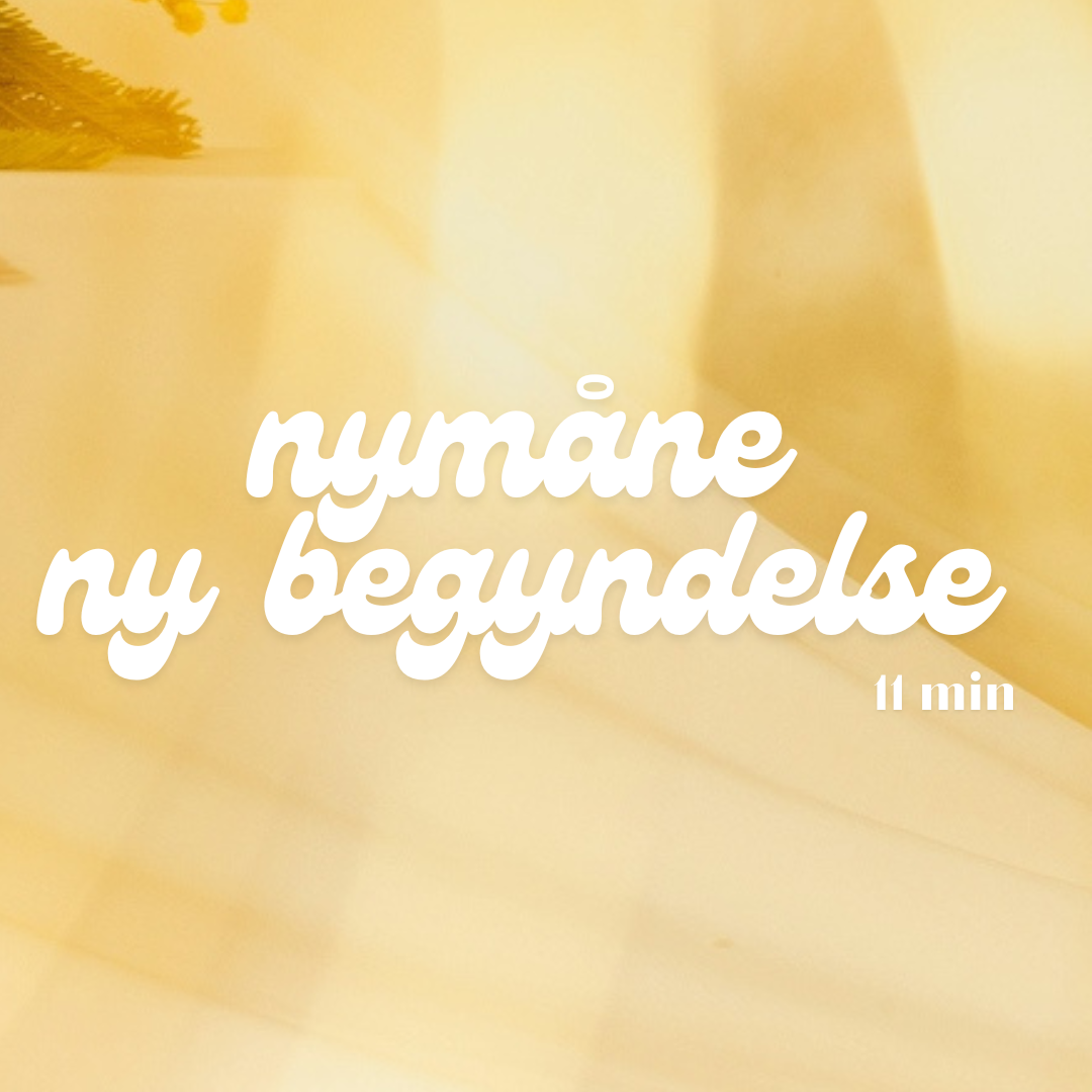 Meditation – Nye begyndelser / Nymåne