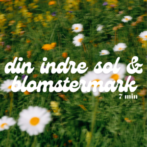 Meditation - Børn & alle aldre: Din indre sol & trygge blomstermark 7 min